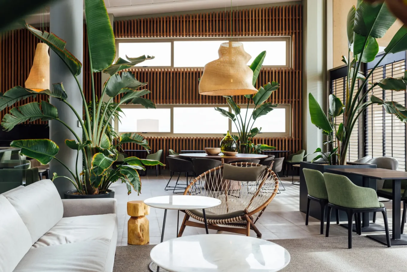 Descubriendo Diseño